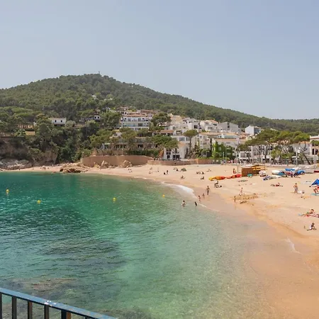 Aigua Dolca 1 타마리우