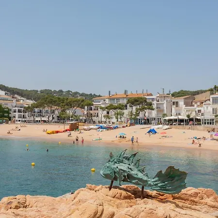 아파트 Aigua Dolca 1